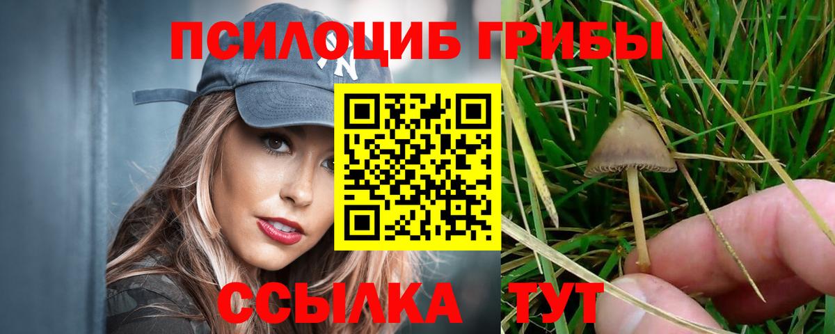Галлюциногенные грибы прущие грибы Надым